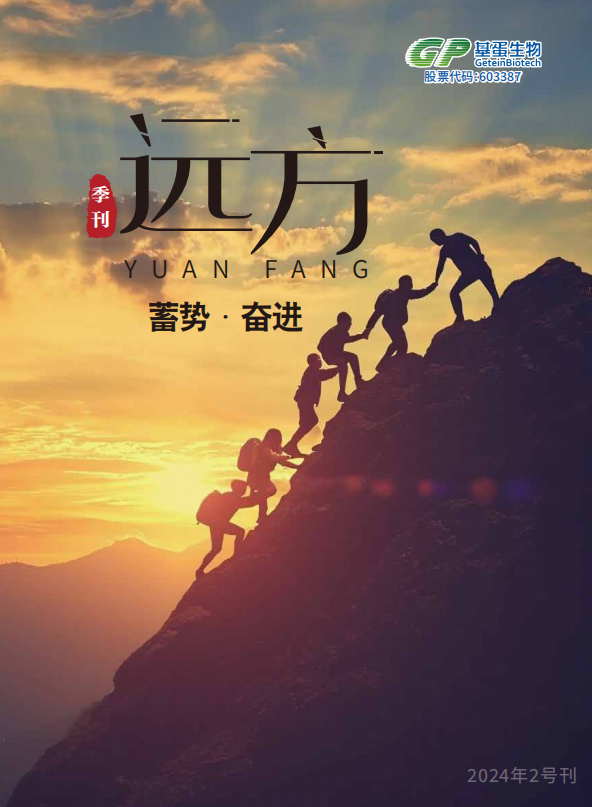 2024年 第二期